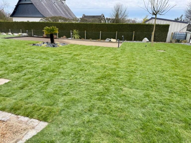 Gazon de placage