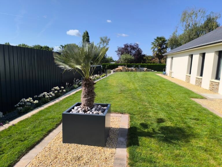 Gazon de placage - Plantation